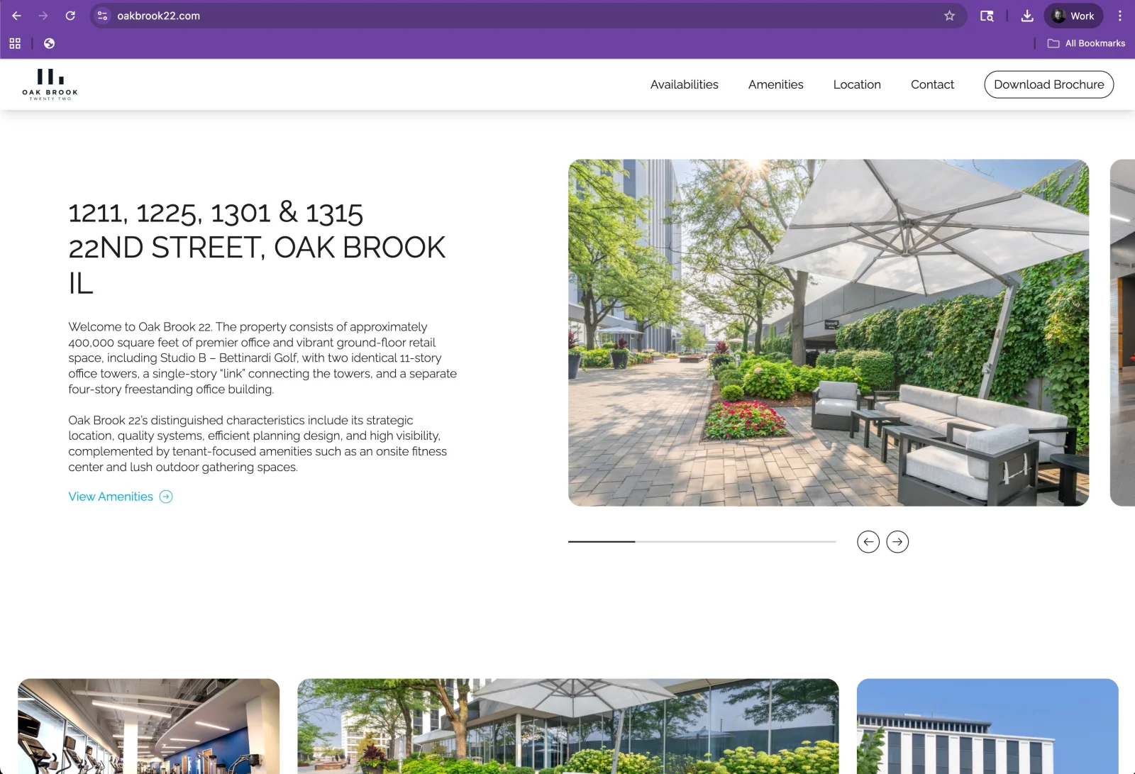 Oak Brook 22 website